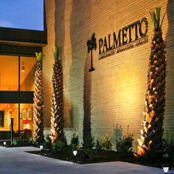 Palmetto Lowcountry Behavioral Health